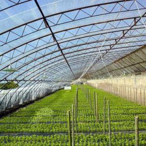 Antidrip Agriculture Film